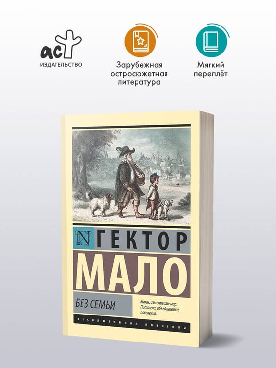 Дополнительное изображение книги «Без семьи»