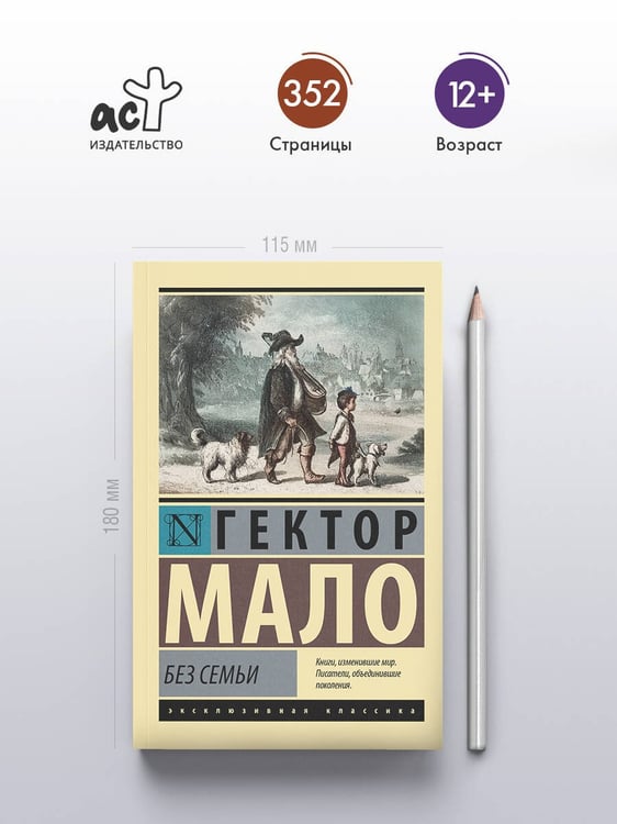 Дополнительное изображение книги «Без семьи»