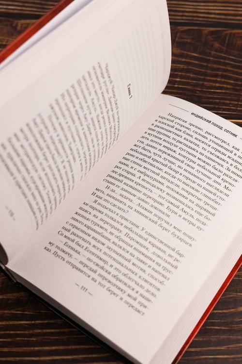 Дополнительное изображение книги «Индийский поход. Сотник»