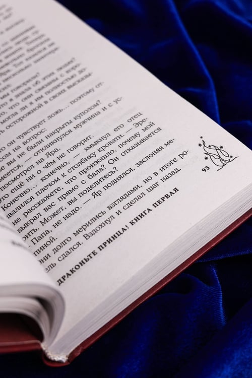 Дополнительное изображение книги «Не драконьте принца! Книга первая»