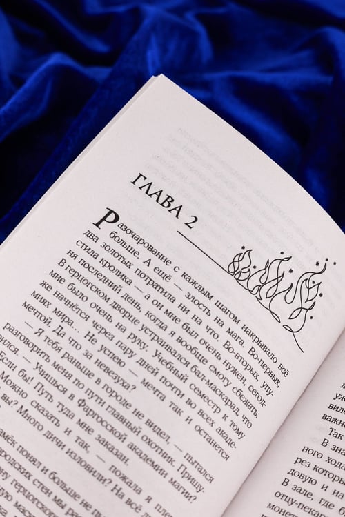 Дополнительное изображение книги «Не драконьте принца! Книга первая»