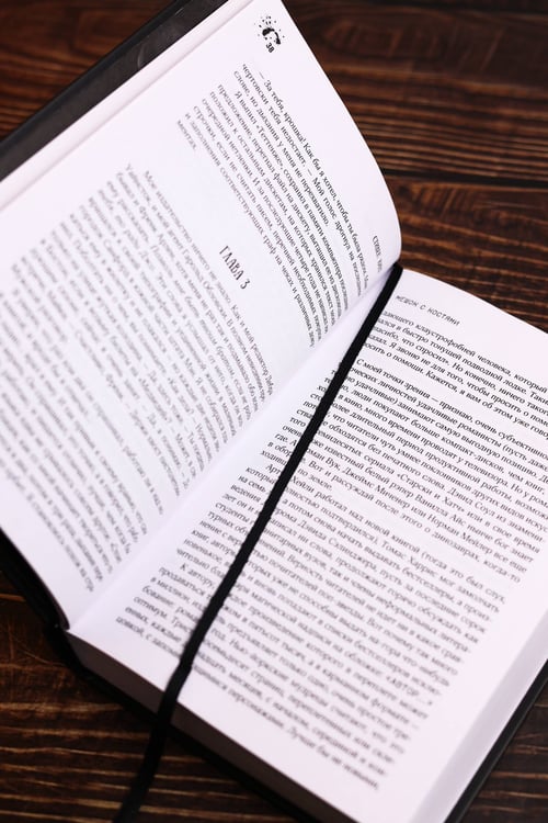 Дополнительное изображение книги «Мешок с костями»