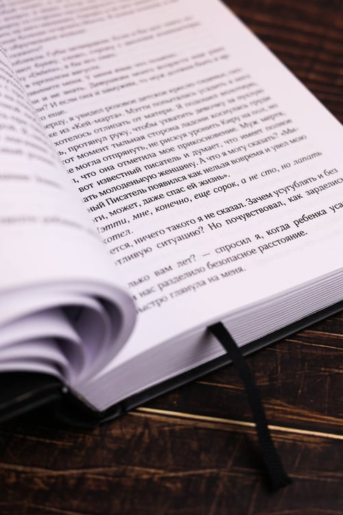 Дополнительное изображение книги «Мешок с костями»