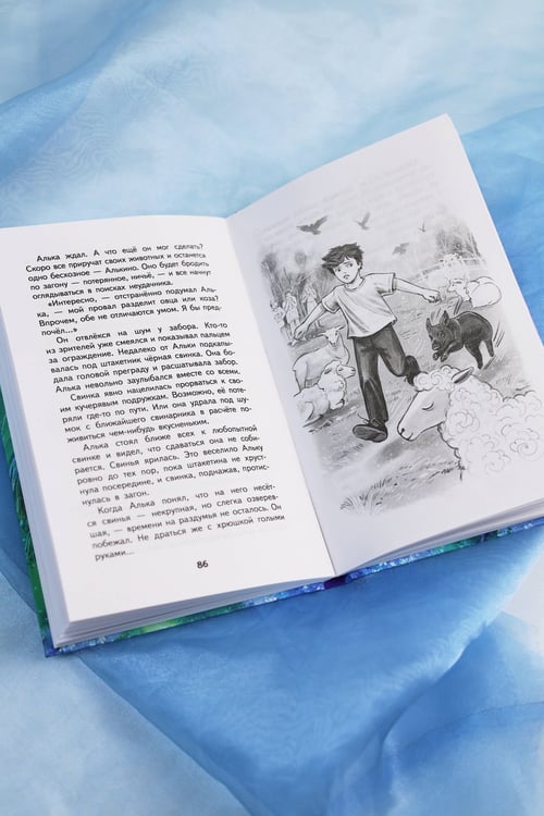 Дополнительное изображение книги «Школа Приручателей»
