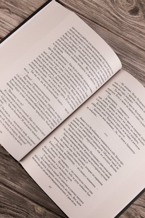 Дополнительное изображение книги «Начальник милиции (сборник)»
