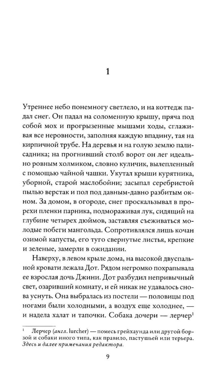 Дополнительное изображение книги «Зыбкая почва»