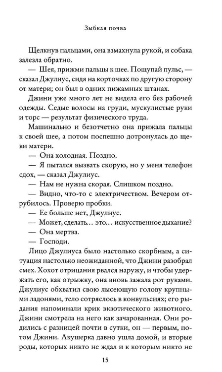 Дополнительное изображение книги «Зыбкая почва»