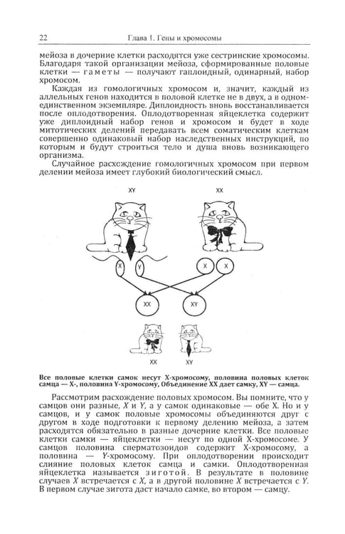 Дополнительное изображение книги «Кошки и гены: Современная генетика в популярном изложении»
