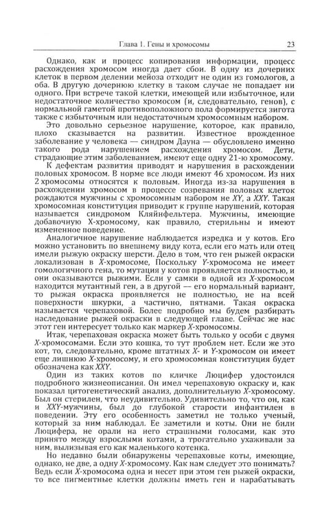 Дополнительное изображение книги «Кошки и гены: Современная генетика в популярном изложении»