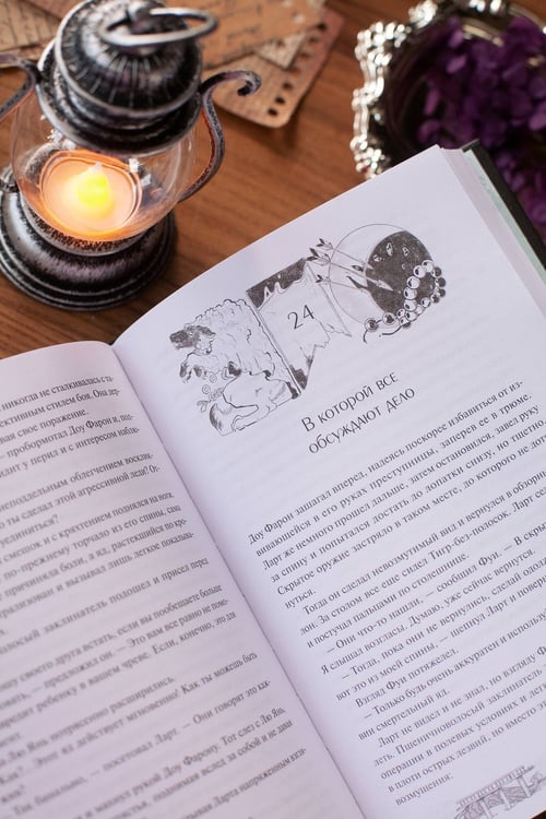 Дополнительное изображение книги «Второстепенный мастер. Том 1»