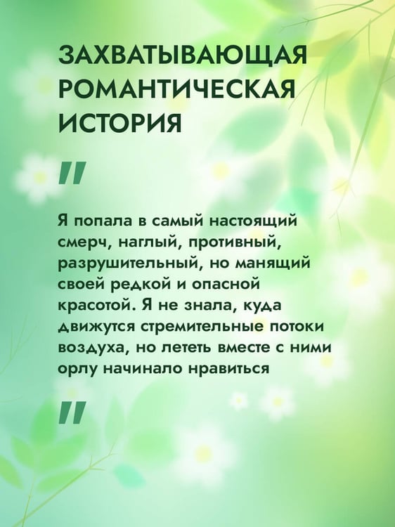 Дополнительное изображение книги «Мой идеальный смерч»