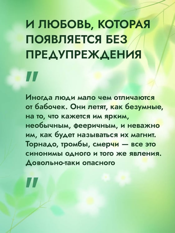 Дополнительное изображение книги «Мой идеальный смерч»