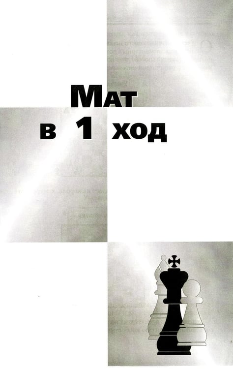 Дополнительное изображение книги «725 учебных матовых задач»