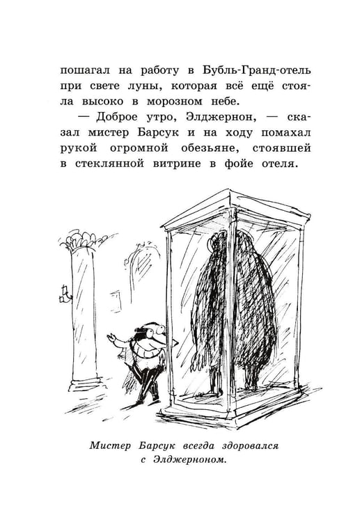 Дополнительное изображение книги «Мистер Барсук и волшебное зеркало: повесть»