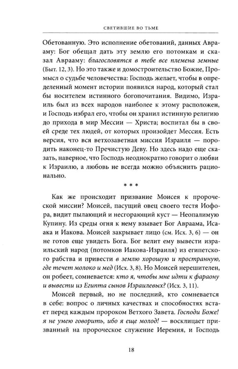 Дополнительное изображение книги «Светившие во тьме. Пророки Ветхого Завета»