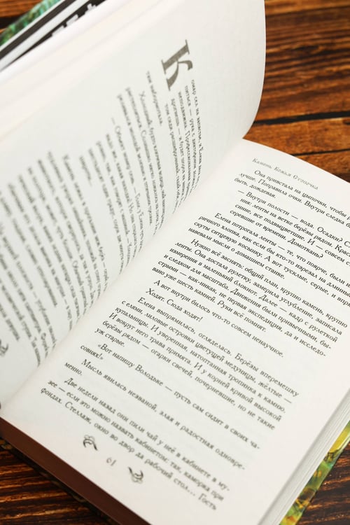 Дополнительное изображение книги «Шепот берез»