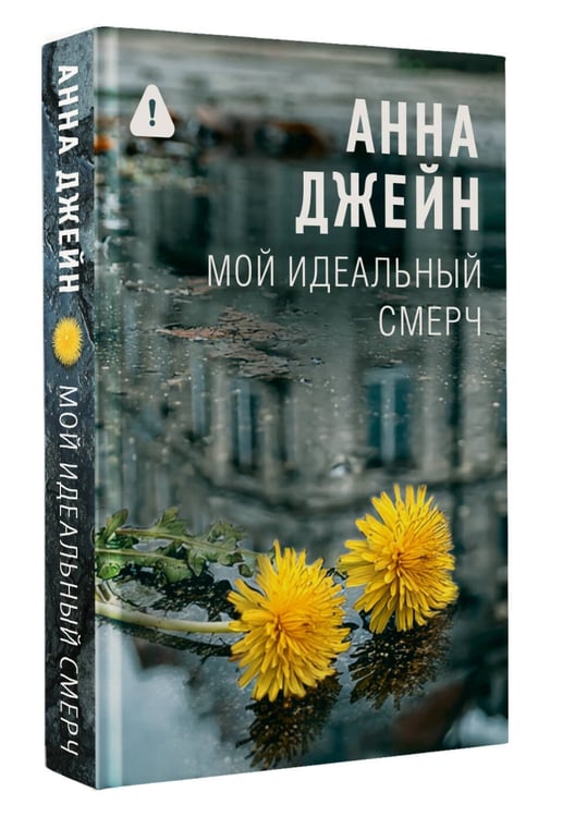 Дополнительное изображение книги «Мой идеальный смерч»