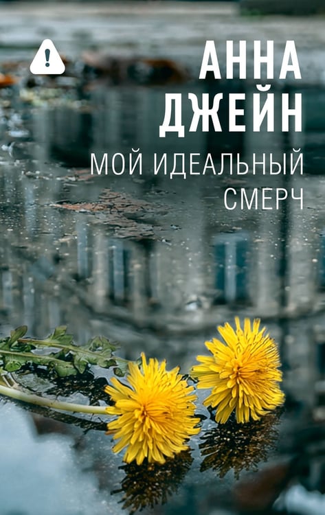 Обложка книги «Мой идеальный смерч» — Джейн Анна, ISBN 9785171777432