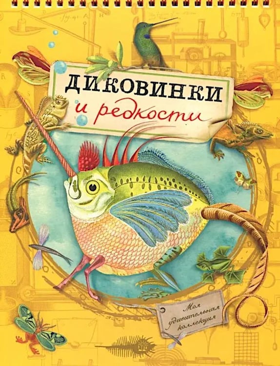 Обложка книги «Диковинки и редкости» — None, ISBN 9785928728892