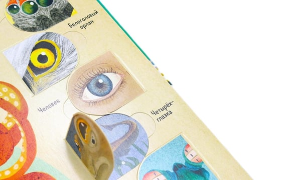Дополнительное изображение книги «Биология: от амебы до человека»