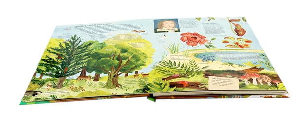 Дополнительное изображение книги «Биология: от амебы до человека»