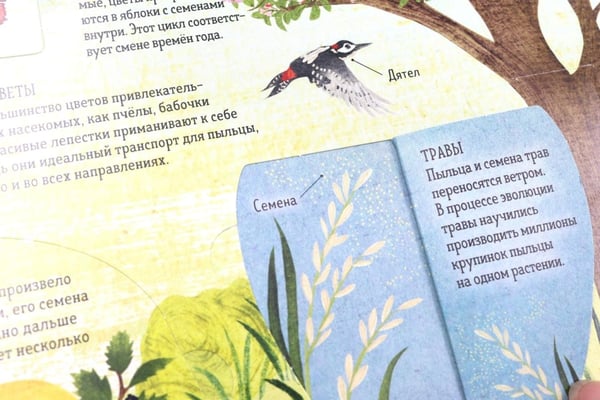 Дополнительное изображение книги «Биология: от амебы до человека»