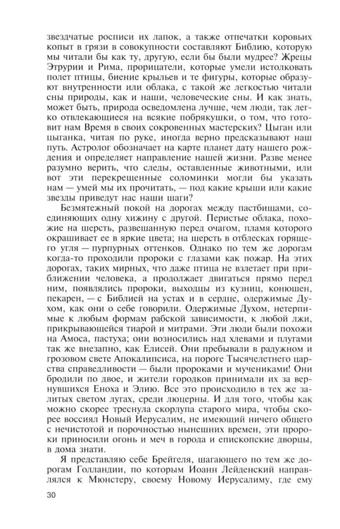 Дополнительное изображение книги «ЖЗЛ. Брейгель, или Мастерская сновидений. 3-е изд»