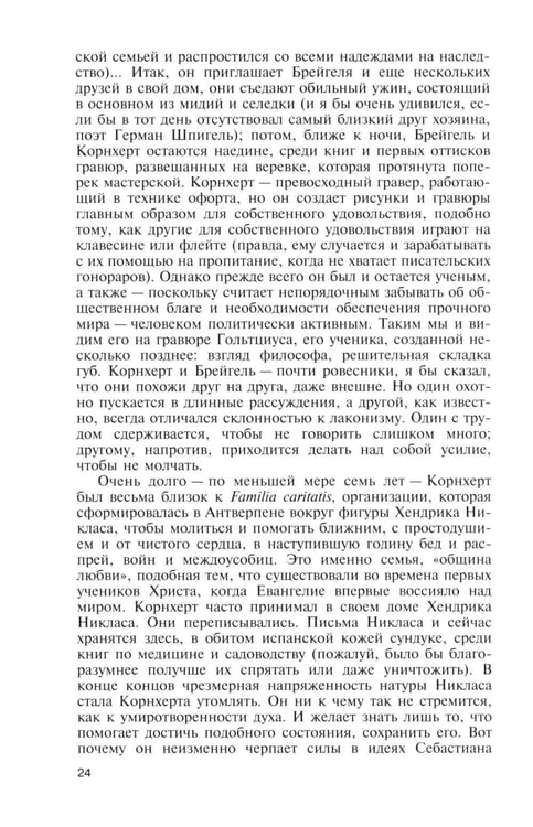 Дополнительное изображение книги «ЖЗЛ. Брейгель, или Мастерская сновидений. 3-е изд»