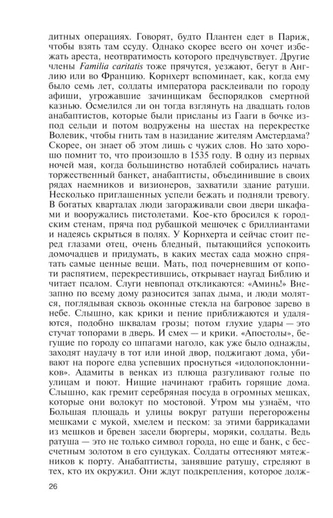 Дополнительное изображение книги «ЖЗЛ. Брейгель, или Мастерская сновидений. 3-е изд»