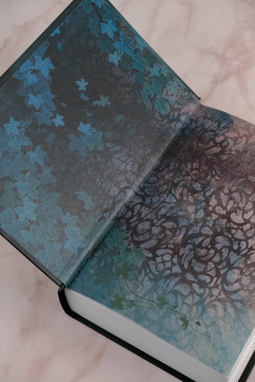 Дополнительное изображение книги «Иная Богемия»