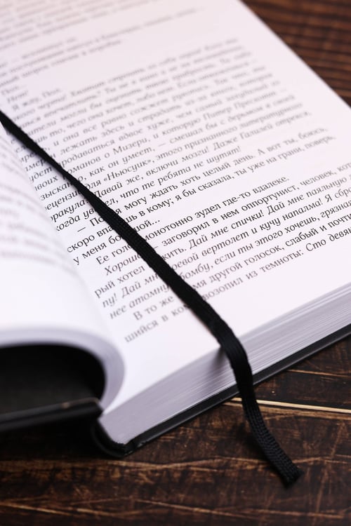 Дополнительное изображение книги «Мизери»