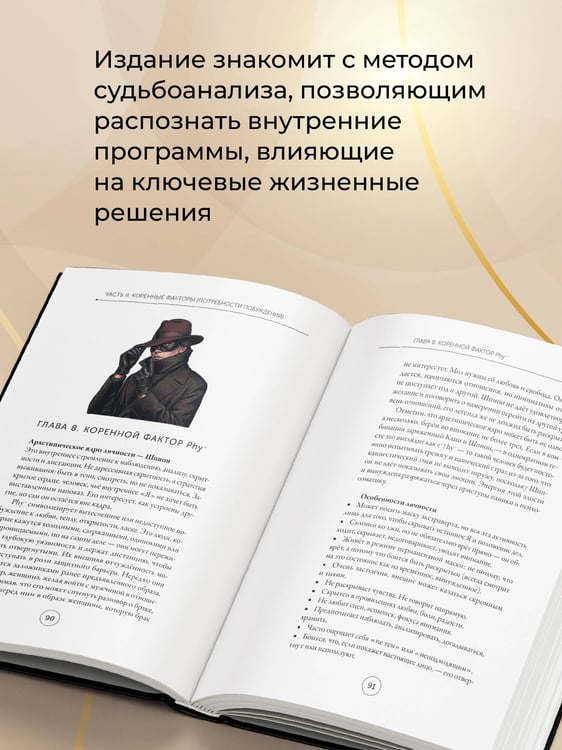 Дополнительное изображение книги «Тень архетипа»