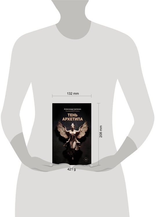 Дополнительное изображение книги «Тень архетипа»