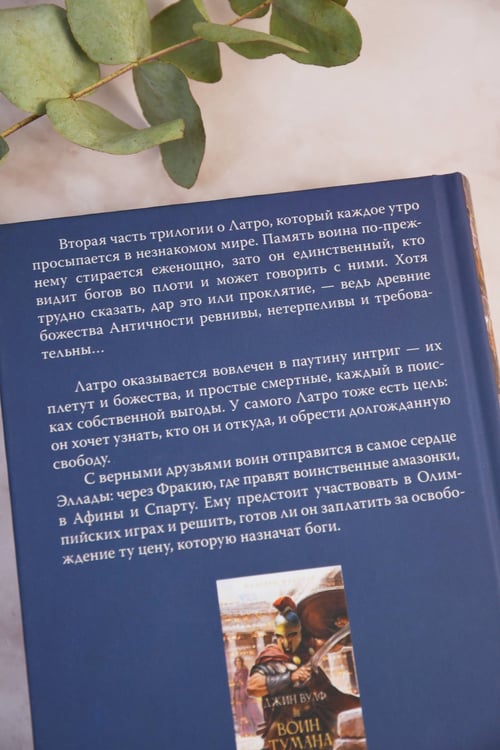 Дополнительное изображение книги «Воин Арете»