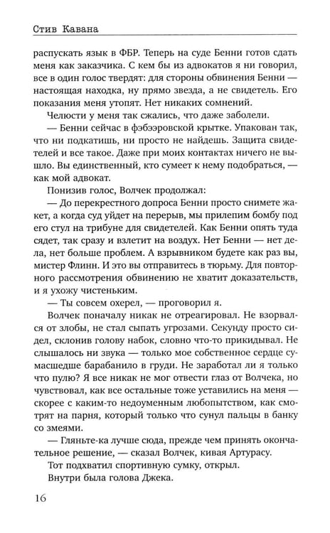 Дополнительное изображение книги «Защита»