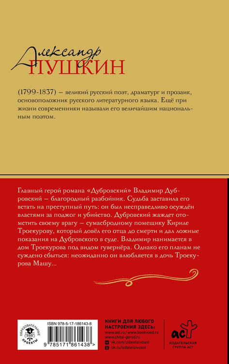 Дополнительное изображение книги «Дубровский»