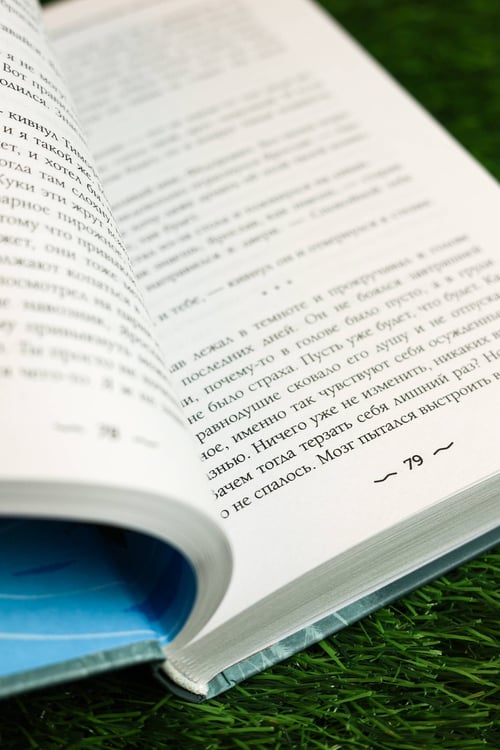 Дополнительное изображение книги «Закрайсветовские хроники»
