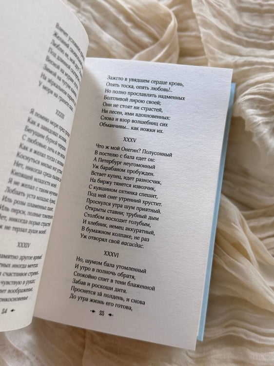 Дополнительное изображение книги «Евгений Онегин»