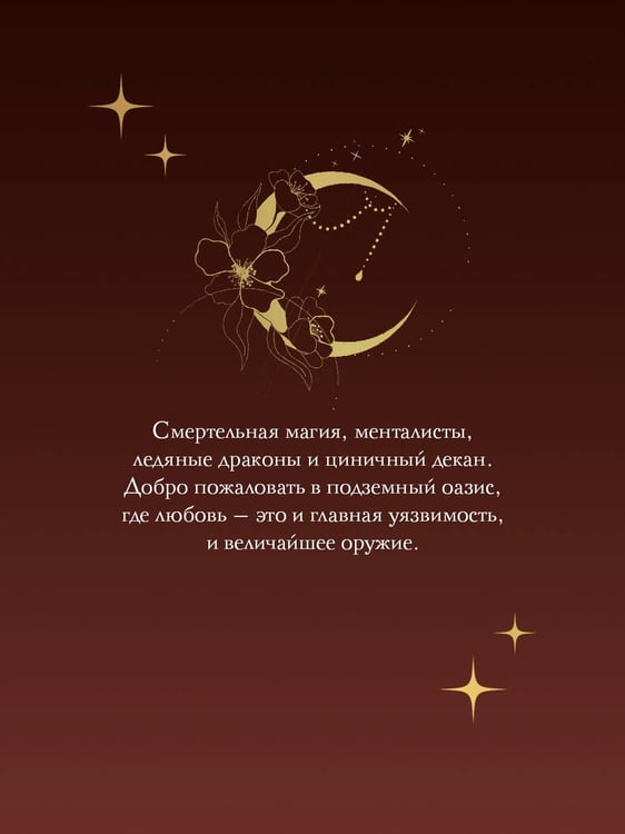 Дополнительное изображение книги «Академия Сейгард. Город тысячи пещер»