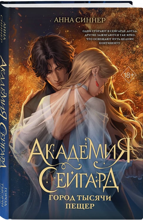 Дополнительное изображение книги «Академия Сейгард. Город тысячи пещер»