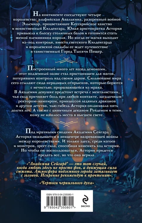Дополнительное изображение книги «Академия Сейгард. Город тысячи пещер»