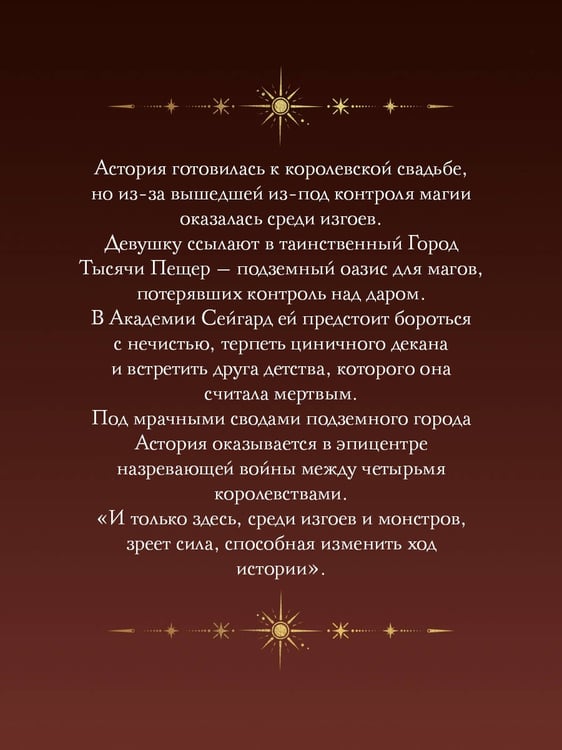 Дополнительное изображение книги «Академия Сейгард. Город тысячи пещер»