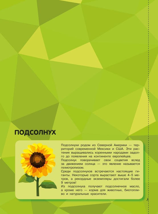 Дополнительное изображение книги «Магия цветов»