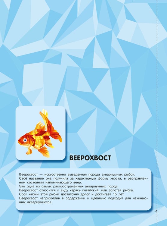 Дополнительное изображение книги «Подводный мир»