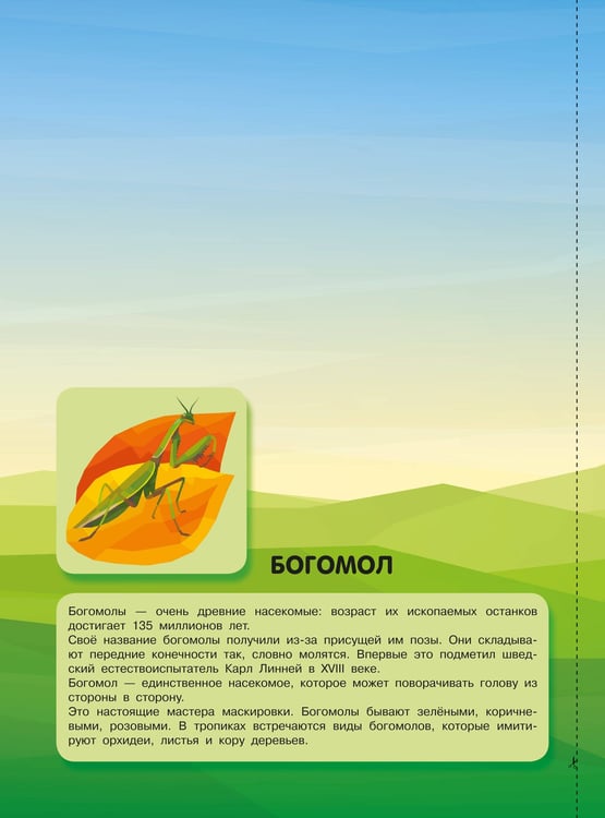 Дополнительное изображение книги «Насекомые»