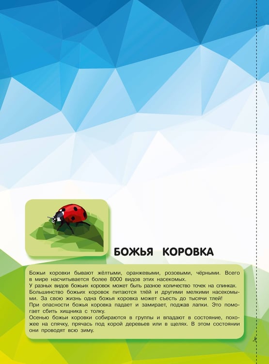 Дополнительное изображение книги «Насекомые»