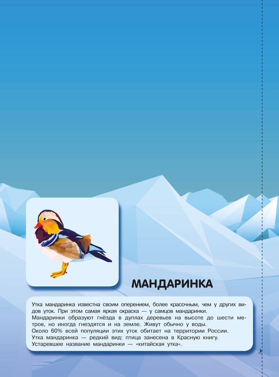 Дополнительное изображение книги «Птицы»