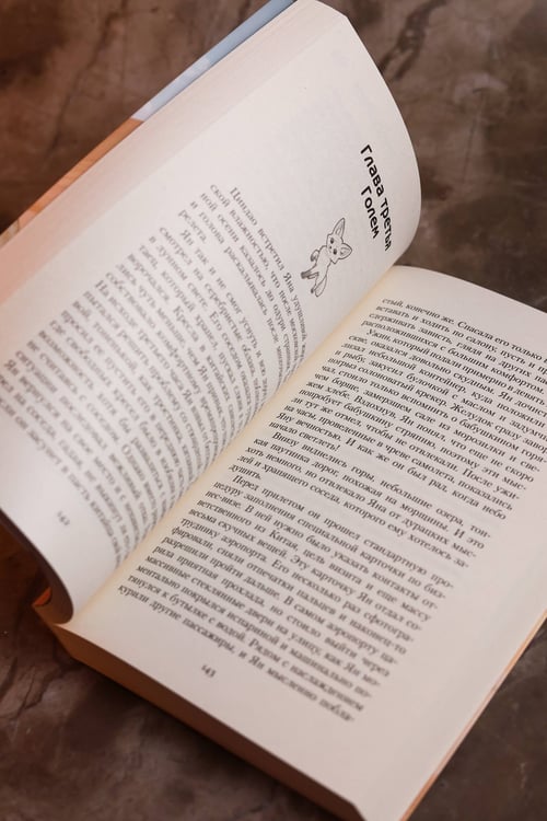 Дополнительное изображение книги «Светоч мира»