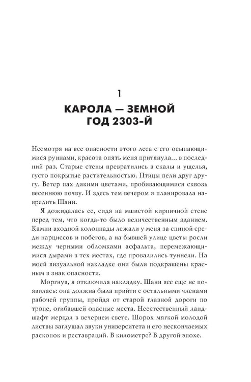 Дополнительное изображение книги «Интерференция»
