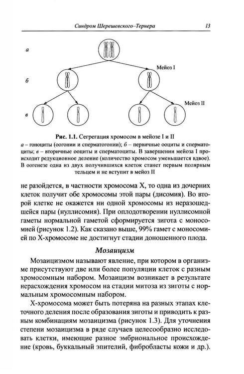 Дополнительное изображение книги «Синдромальные формы задержки роста: клиника, диагностика, лечение: монография»